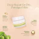 Pure Fiji Dilo Rescue Body Butter