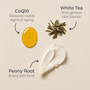 Skin Script Peptide Restoration Moisturizer